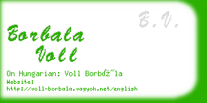 borbala voll business card
